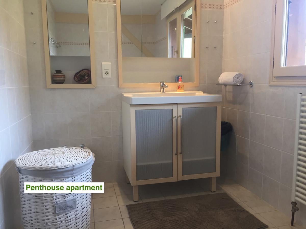 لو غرين شاليه Villard-sur-Boege المظهر الخارجي الصورة