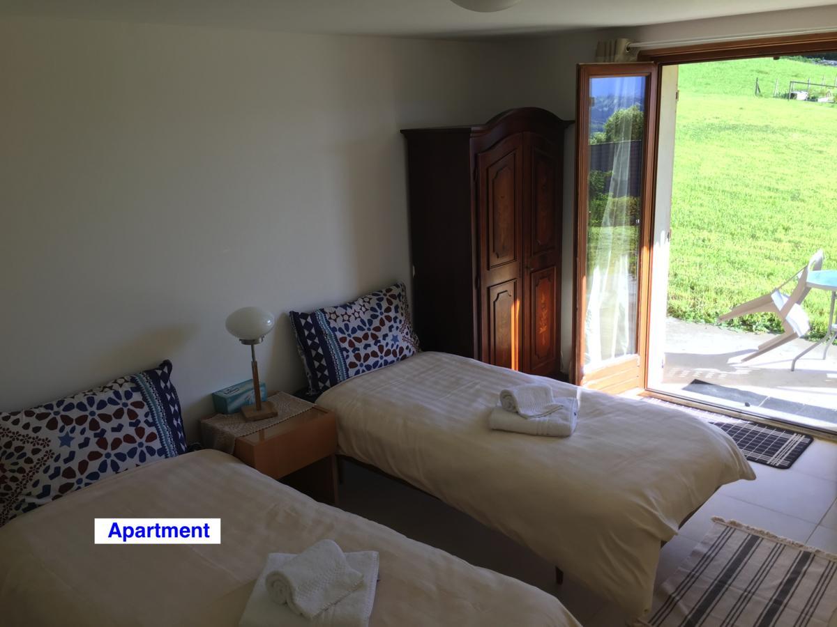 لو غرين شاليه Villard-sur-Boege المظهر الخارجي الصورة